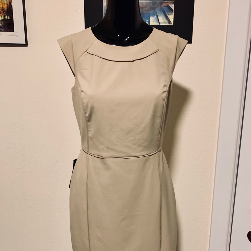 The limited Nude dress